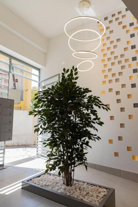Superb Central Lisbon Apartment Ngoại thất bức ảnh